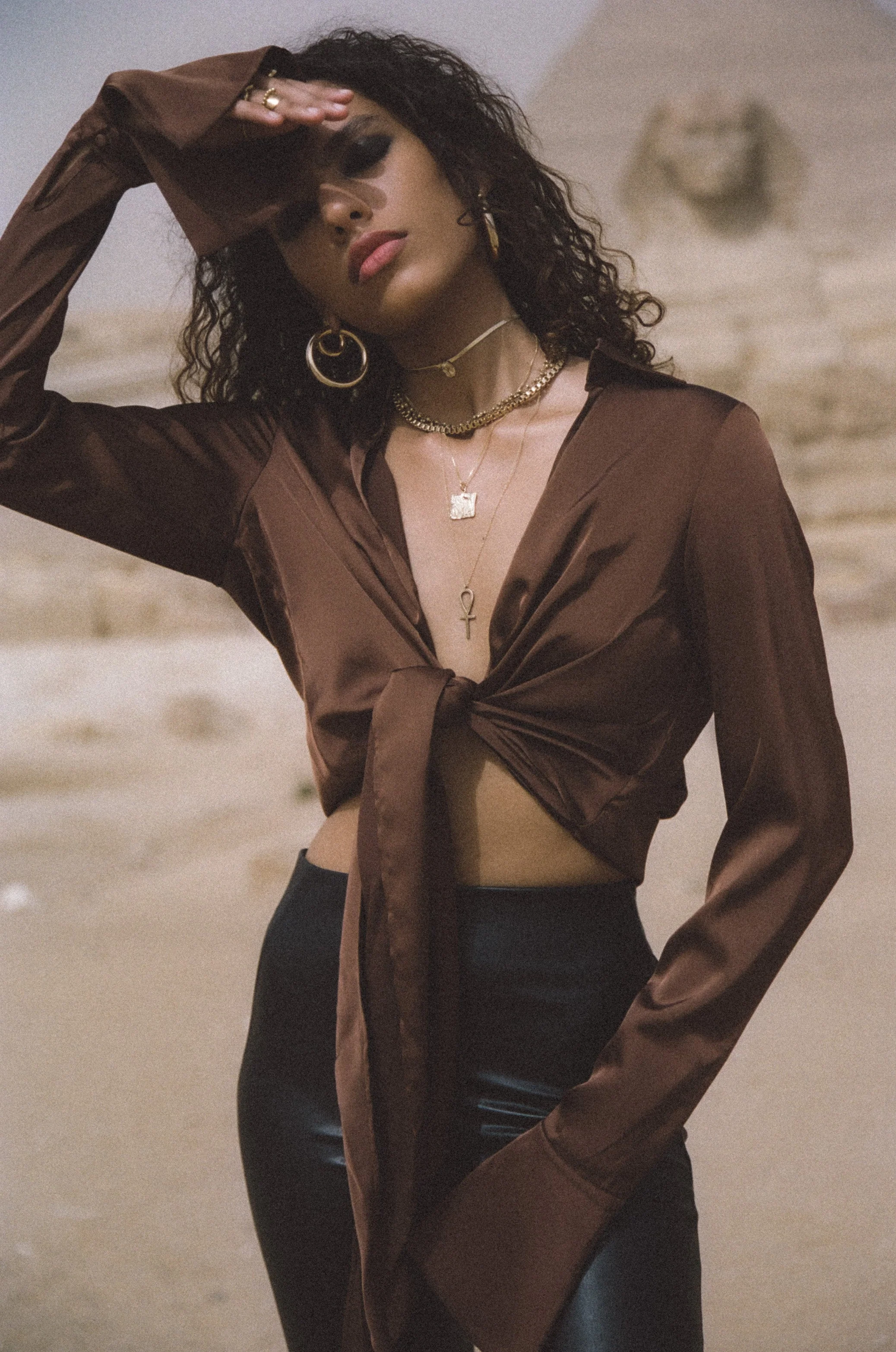 Elegant Golden Hoop Earrings