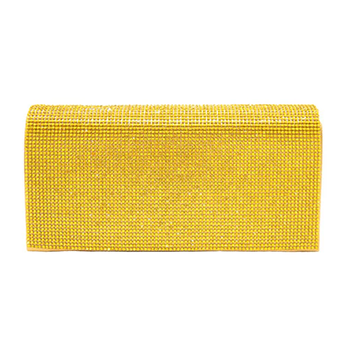 Elegant Evening Clutch